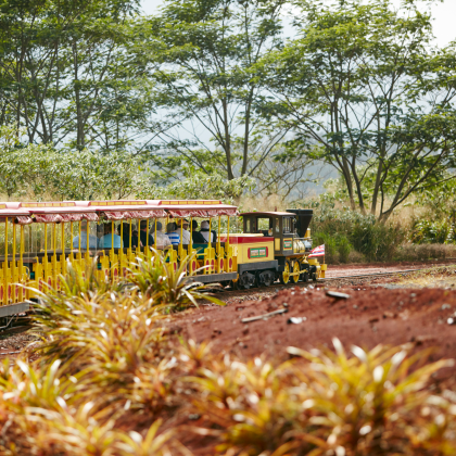 美国夏威夷欧胡岛+夏威夷岛9日7晚跟团游