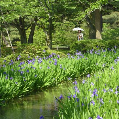 日本名古屋+下吕市7日6晚私家团