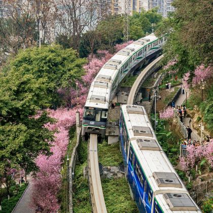 重庆5日4晚私家团