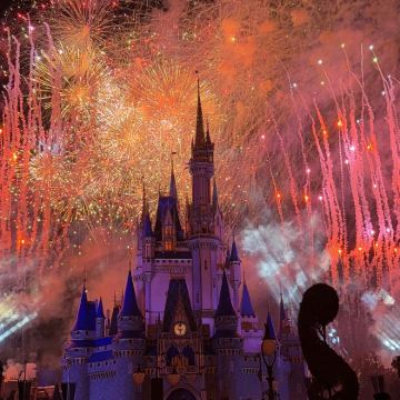 美国奥兰多+迪士尼动物王国+环球冒险岛乐园+迈阿密7日6晚拼小团