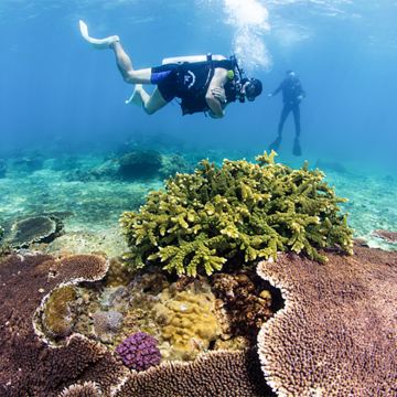 三亚5日4晚私家团