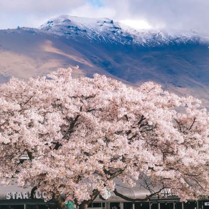 新西兰南岛+北岛13日10晚私家团