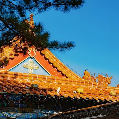 内蒙古呼和浩特+辉腾锡勒草原+响沙湾5日4晚私家团