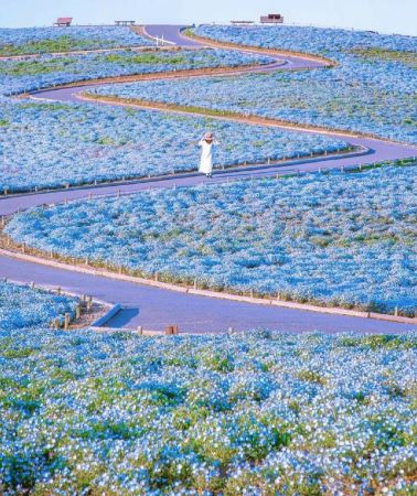 6天5晚 • 關東秘境 大洗·水戶·川越·輕井澤｜入住大洗及輕井澤溫泉飯店｜絕美海上鳥居-四季花海-川越小江戶｜東京自由活動｜全程專車服務