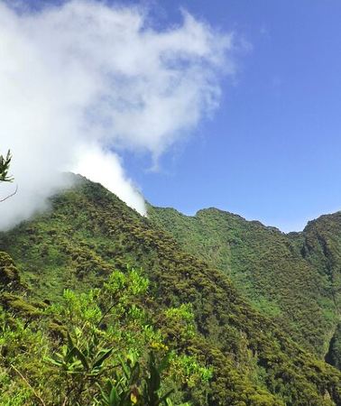 3D2N • 3-Day Gorillas Trekking In Uganda And Golden Monkeys In Rwanda