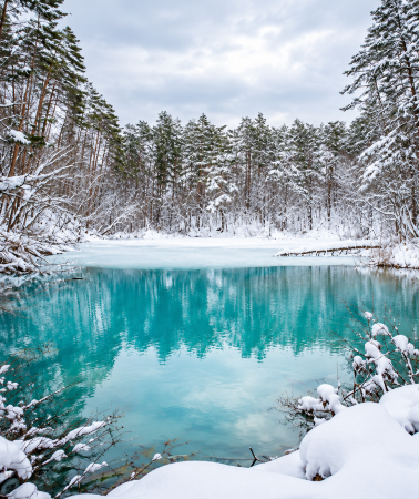 2D1N • Yamagata City + Miyagi Prefecture + Ginzan Onsen + Frost-covered Trees in Zaō Mountains + Zaō Fox Village + Goshikinuma