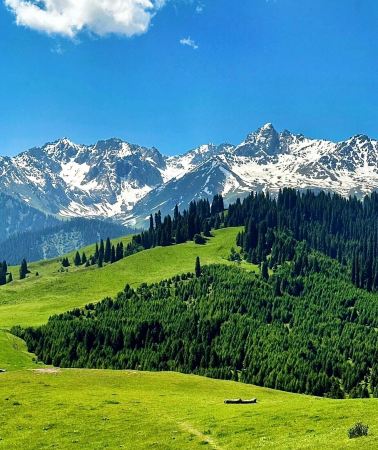 8D7N • 8-day essence tour of Ili departing from Urumqi, covering Sayram Lake,  Kuerdening and  Narat, capturing all the charm of Ili on one trip.