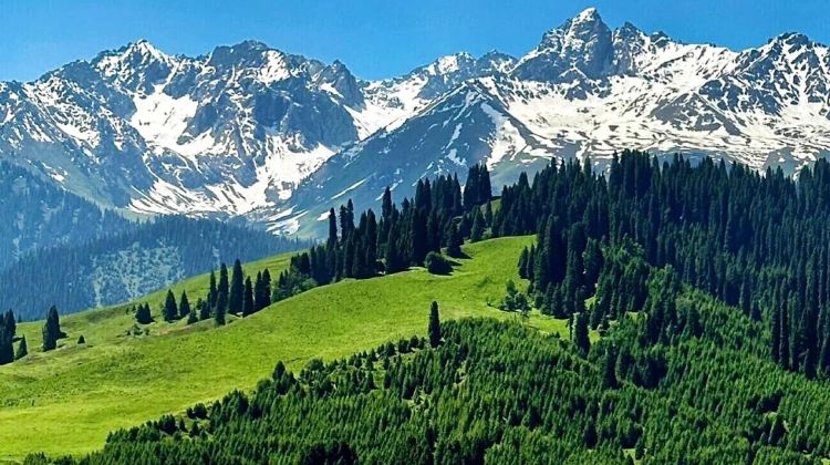 8D7N · Private Tours · 8-day essence tour of Ili departing from Urumqi, covering Sayram Lake, Tuergen Apricot Valley, Kuerdening and  Narat, capturing all the spring charm of Ili on one trip.