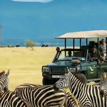 肯尼亚11日9晚私家团