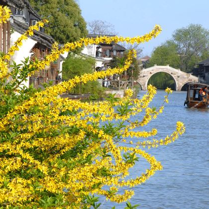 乌镇+杭州2日1晚跟团游