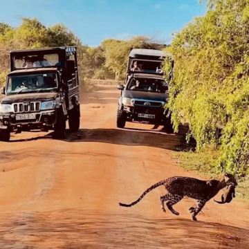 斯里兰卡+马尔代夫9日8晚自由行