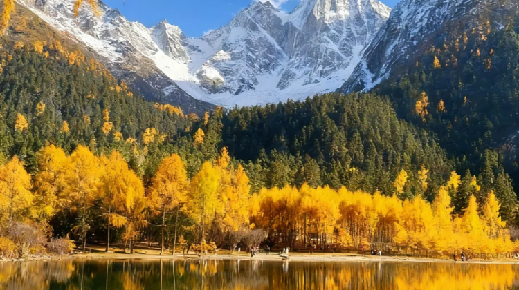 8-day 7-night · Private Tour · Chengdu + Jiuzhaigou + Bipenggou + Dujiangyan