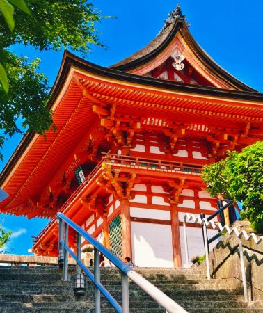 7D6N • Japan Tokyo Mount Fuji Osaka Kyoto Nara City 7-day 6-night small group tour