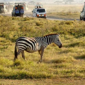 肯尼亚10日7晚跟团游