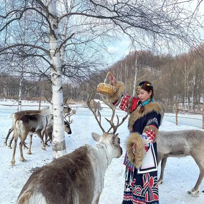 乌兰布统+木兰围场+塞罕坝+坝上3日2晚拼小团