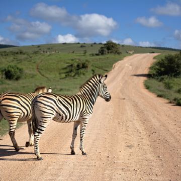 肯尼亚纳库鲁奈瓦沙9日7晚私家团