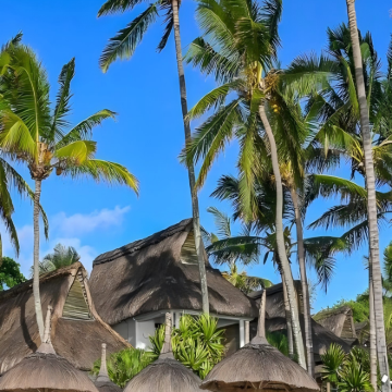 毛里求斯+塞舌尔+马达加斯加+留尼汪（法属）15日14晚私家团