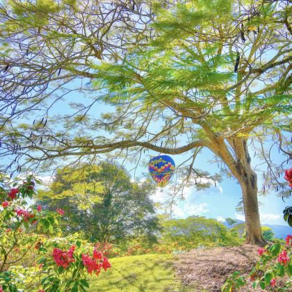 西双版纳6日5晚自由行