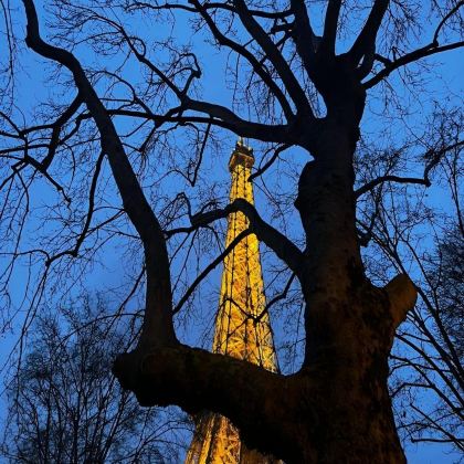 法国11日10晚自由行