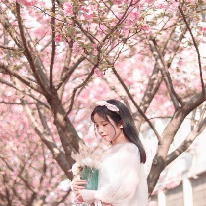 武汉+长江三峡+三峡大坝2日1晚跟团游