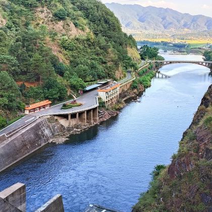 雁南飞茶田景区+梅州千佛塔4日3晚私家团