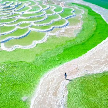 青海西宁+青海湖景区+茶卡盐湖+敦煌莫高窟8日7晚跟团游