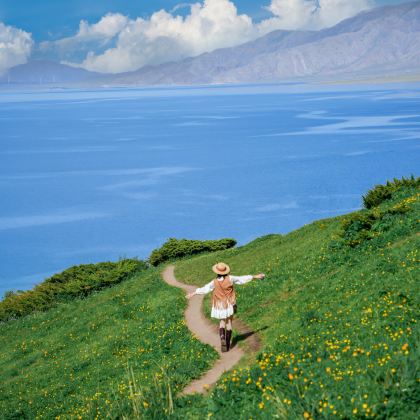 新疆北疆+伊犁7日6晚拼小团