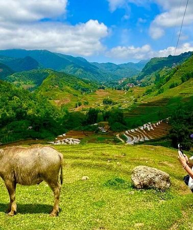 2D1N • Trekking SaPa 2-Day Local Adventure with Homestay & Guide