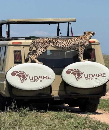 3D2N • From Zanzibar:3-Day Nyerere National park &Boat Safari&Ferry