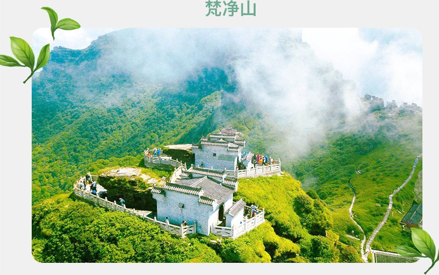 贵州黄果树 织金洞 茅台镇 遵义 梵净山7日6晚私家团