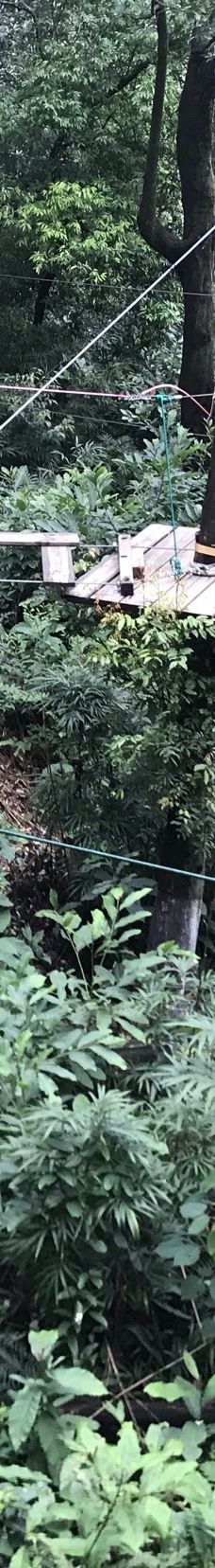 天鹿湖森林公园-广州