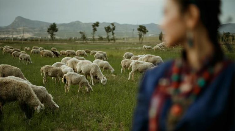 5-day 4-night · Private Tour · Inner MongoliaHohhot + Whistling Dune Bay
