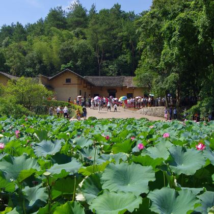 长沙+韶山+张家界+天门山+凤凰古城3日2晚跟团游