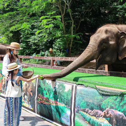 云南西双版纳5日4晚跟团游
