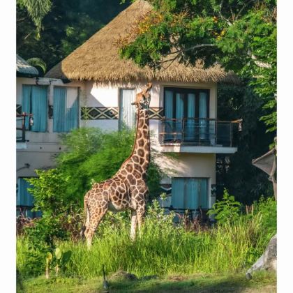 印度尼西亚雅加达4日3晚私家团