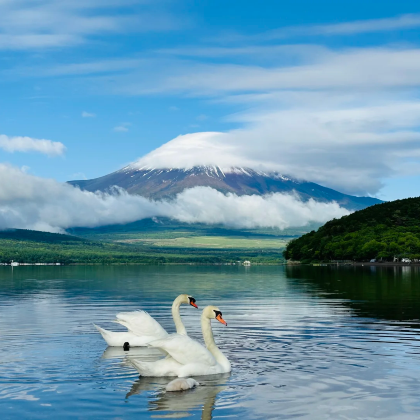 日本东京+大阪+京都+奈良6日5晚跟团游