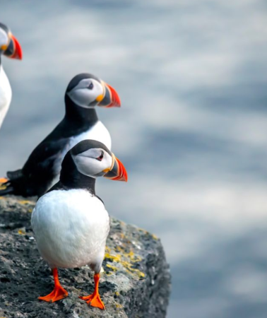 6D5N • Custom Private Iceland Trip: Blue Lagoon accommodation, timeless scenic spots and unspoiled natural landscapes, flexible bespoke itineraries