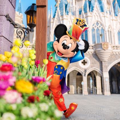 日本东京+迪士尼（Disney）6日5晚私家团