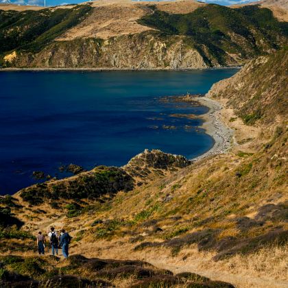 新西兰+凯库拉观鲸游船11日10晚拼小团