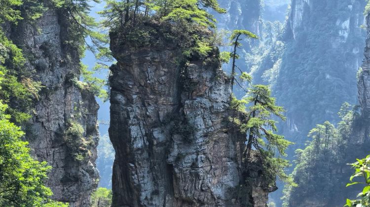 5-Day Tianmen Mountain National Forest Park + Zhangjiajie National Forest Park + Zhangjiajie Grand Canyon + Fenghuang Ancient Town