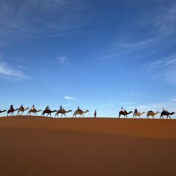 摩洛哥+突尼斯15日跟团游