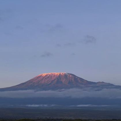 肯尼亚+坦桑尼亚12日11晚跟团游