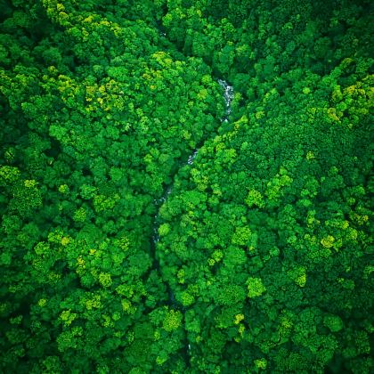 贵州+黎平+平塘5日4晚私家团