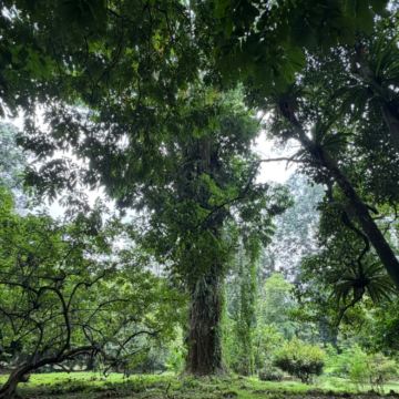 雅加达+茂物市+万隆市8日7晚私家团
