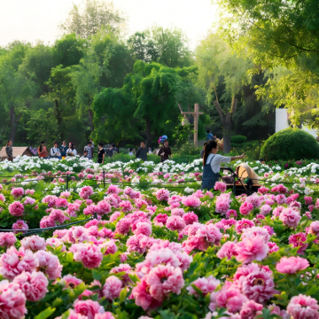河南洛阳3日2晚私家团