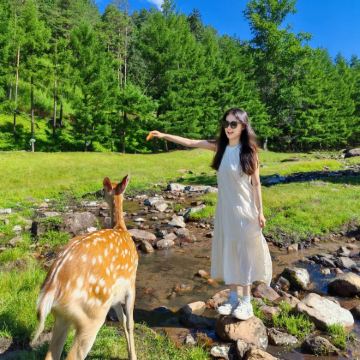 伊春+哈尔滨+五大连池风景区+齐齐哈尔6日5晚跟团游