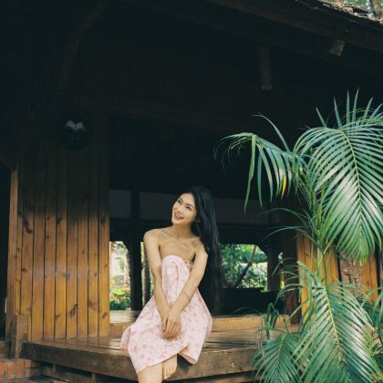 西双版纳+普洱7日6晚自由行