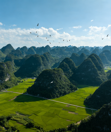5D4N • Guizhou + China + Huangguoshu Waterfall + Qingyan Ancient Town + Wanfenglin Scenic Area + Maling River Canyon