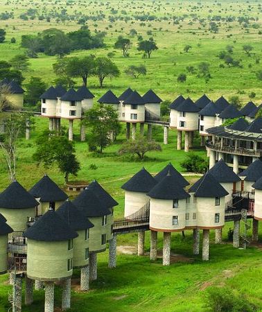 2D1N • Private overnight To Saltlick Safari Lodge From Mombasa Or Diani