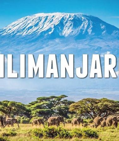 3D2N • 3 Days Nairobi, Tsavo West, Amboseli Safari